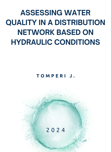 Assessing water quality in a distribution network based on hydraulic conditions